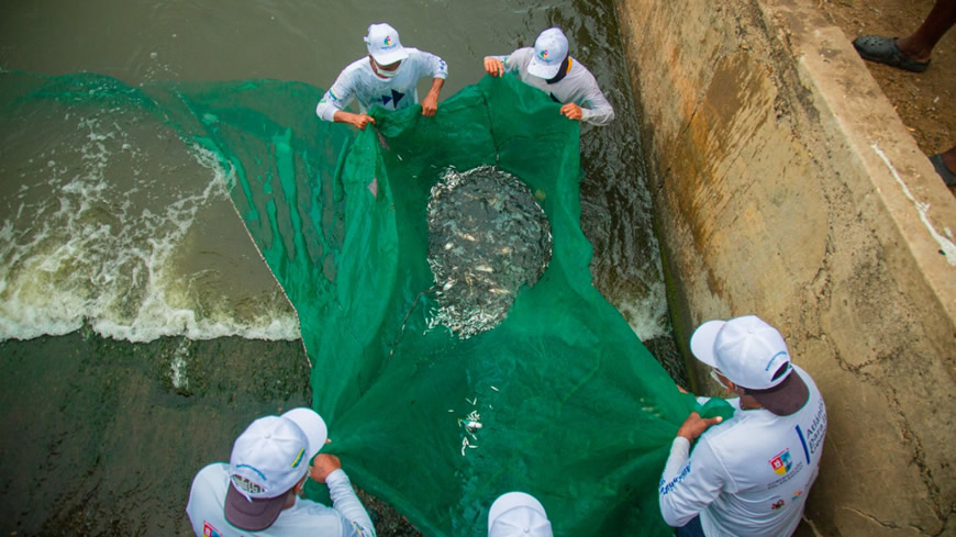 “Plan Pescao” garantiza ecosistemas sanos: C.R.A