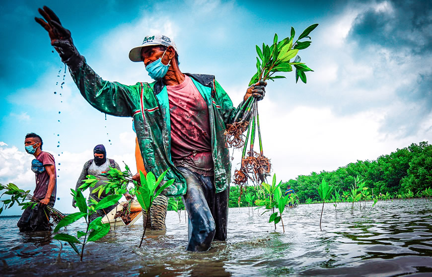 Concurso de fotografía ambiental de la C.R.A, premió 15 obras.