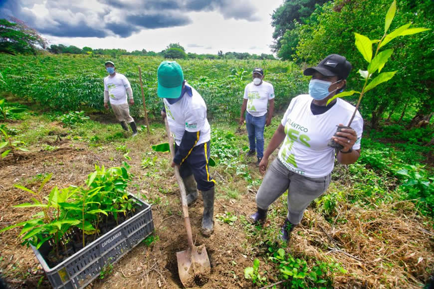 El SIRAP Caribe, reporta 513.000 ha de ecosistemas estratégicos preservados en el 2023
