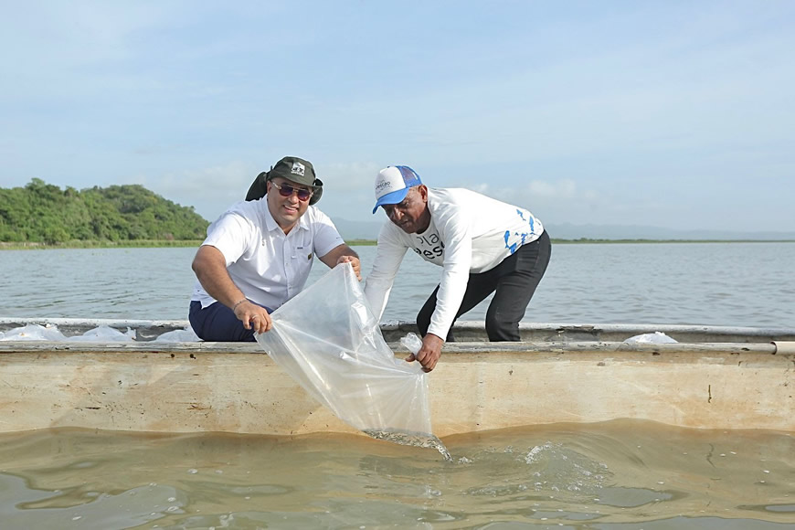 Plan + Pescao 2025 repoblará el Atlántico con 1,5 millones de bocachicos en el embalse El Guájaro