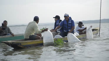 FAO otorga reconocimiento al ‘Plan + Pescao’ por su aporte a los sistemas alimentarios acuáticos sostenibles