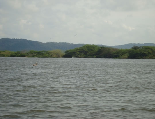 ABREN COMPUERTAS VILLA ROSA, EN REPELÓN