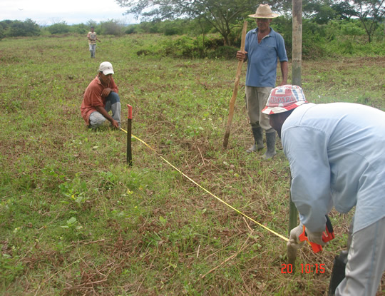 C.R.A conmemora Día Nacional del Árbol