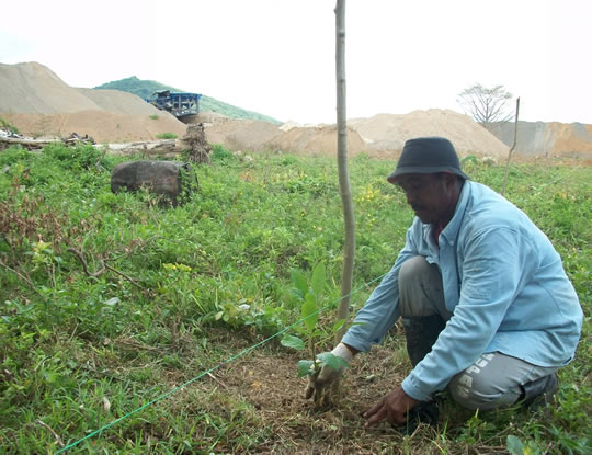 C.R.A conmemora Día Nacional del Árbol