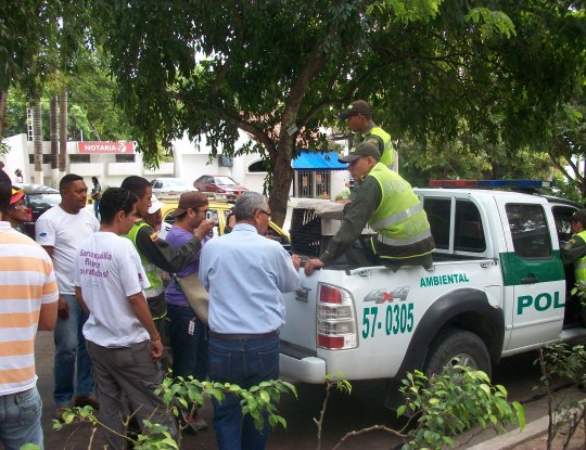 “REY GALLINAZO SE ENCUENTRA EN PROCESO DE VALORIZACIÓN”: C.R.A