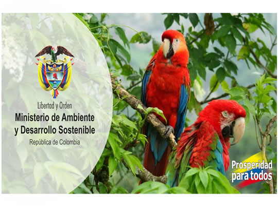 INFORME PARA LA AUDIENCIA PÚBLICA DE RENDICIÓN DE CUENTAS