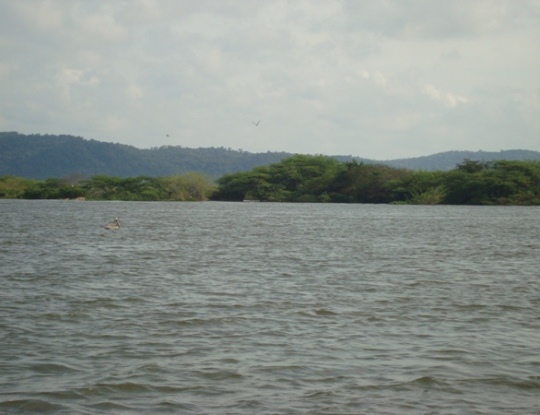 NUEVO PROYECTO DE C.R.A, BUSCA GARANTIZAR SOSTENIBILIDAD DEL EMBALSE EL GUAJARO