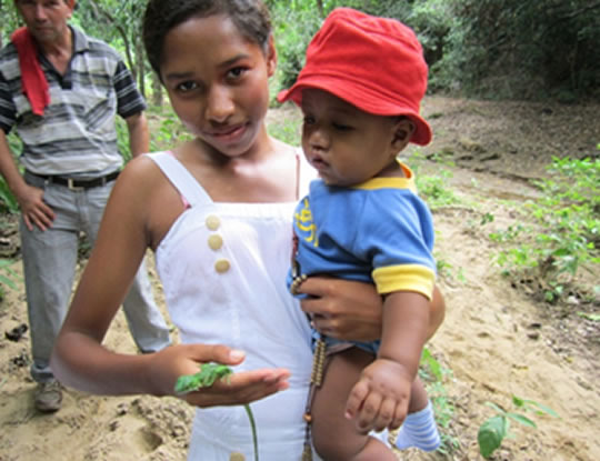 Liberación de Iguanas y concientización ambiental en Luriza fomentan C.R.A y Alcaldía de Usiacurí.
