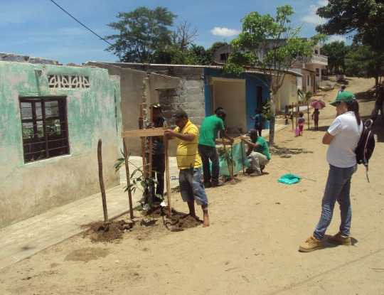 CRA Y PROMIGAS, INICIAN SIEMBRA Y REFORESTACIÓN EN CENTRO DEL DEPARTAMENTO
