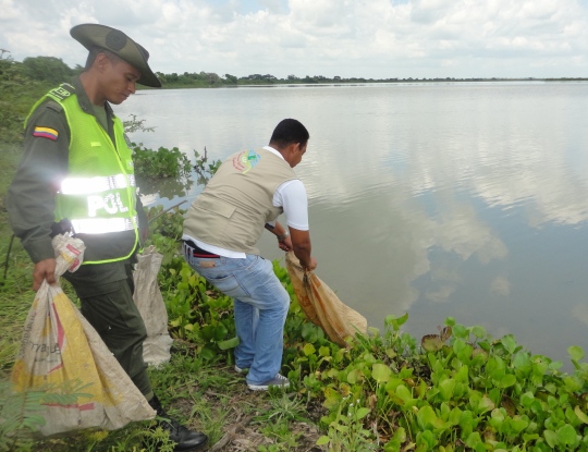 ESPECIES NATIVAS DEL ATLANTICO, DEVUELTAS A SU HÁBITAT POR LA CRA