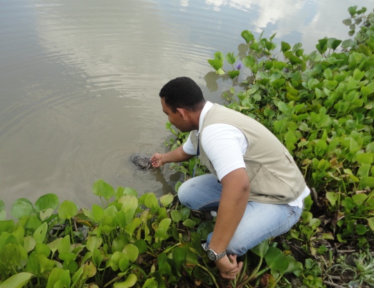 ESPECIES NATIVAS DEL ATLANTICO, DEVUELTAS A SU HÁBITAT POR LA CRA