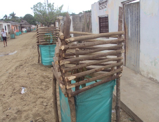 CRA Y PROMIGAS SEMBRARON 1600 ARBOLES EN EL CENTRO DEL ATLANTICO