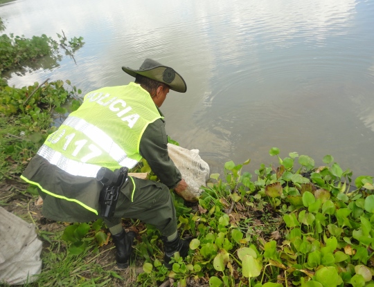 ESPECIES NATIVAS DEL ATLANTICO, DEVUELTAS A SU HÁBITAT POR LA CRA