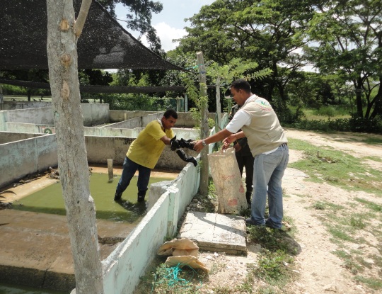 ESPECIES NATIVAS DEL ATLANTICO, DEVUELTAS A SU HÁBITAT POR LA CRA