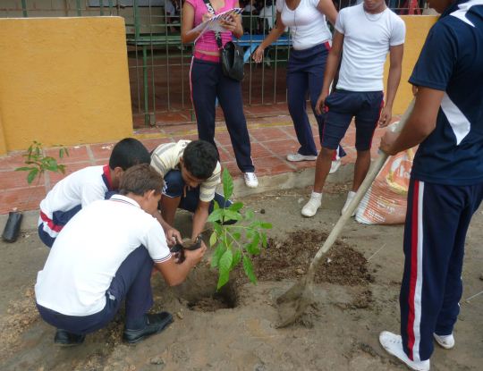 CRA, REALIZO SIEMBRA EN INSTITUCION EDUCATIVA