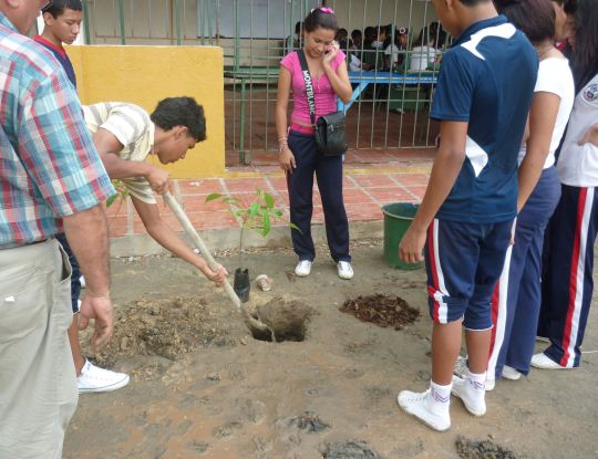 CRA, REALIZO SIEMBRA EN INSTITUCION EDUCATIVA