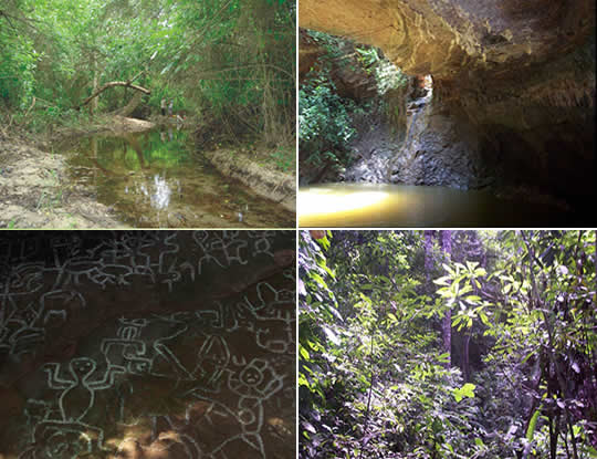 EL ATLÁNTICO TENDRÁ NUEVAS AREAS PROTEGIDAS QUE MOSTRAR 