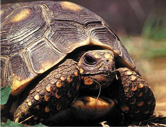 EL ATLÁNTICO TENDRÁ NUEVAS AREAS PROTEGIDAS QUE MOSTRAR 