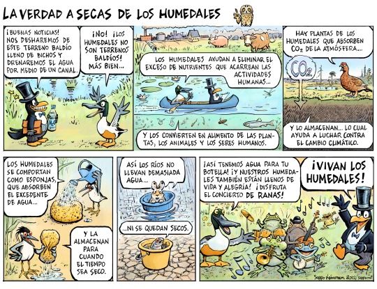 LOS HUMEDALES CUIDAN DEL AGUA