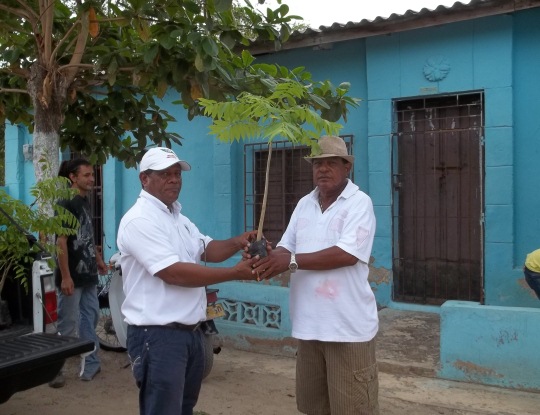 C.R.A. ENTREGÓ 400 ARBOLES DE CEDRO EN CAMPO DE LA CRUZ