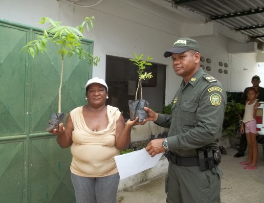 C.R.A. ENTREGÓ 400 ARBOLES DE CEDRO EN CAMPO DE LA CRUZ