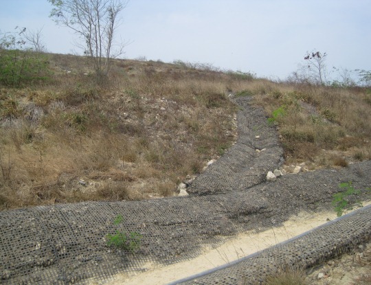C.R.A. HACE SEGUIMIENTO A  RELLENO HENEQUÉN Y BASUREROS SATÉLITES EN ORIENTE DEL ATLANTICO.