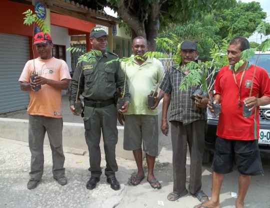 C.R.A. ENTREGÓ 400 ARBOLES DE CEDRO EN CAMPO DE LA CRUZ