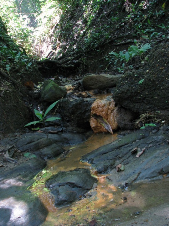 USIACURÍ Y LA CRA FIRMARON CONVENIO PARA FORTALECER PLAN DE MANEJO AMBIENTAL EN LURIZA