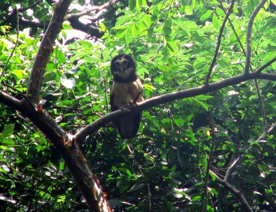 USIACURÍ Y LA CRA FIRMARON CONVENIO PARA FORTALECER PLAN DE MANEJO AMBIENTAL EN LURIZA