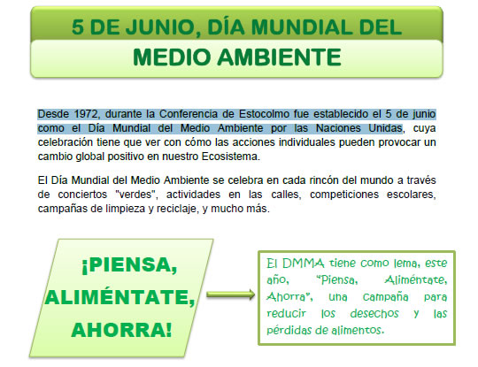 5 DE JUNIO, DÍA MUNDIAL DEL MEDIO AMBIENTE