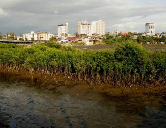 Minambiente establece directrices para ordenamiento ambiental costero y criterios para actividades en pastos marinos