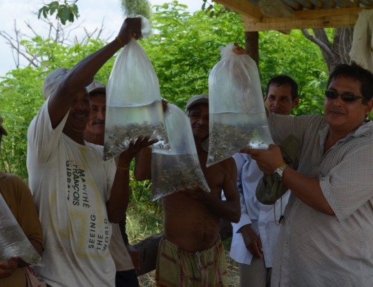 CRA, CONTRIBUYE A LA PRODUCTIVIDAD EN EL SUR DEL ATLANTICO