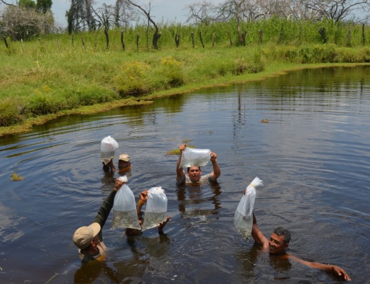 CRA, CONTRIBUYE A LA PRODUCTIVIDAD EN EL SUR DEL ATLANTICO