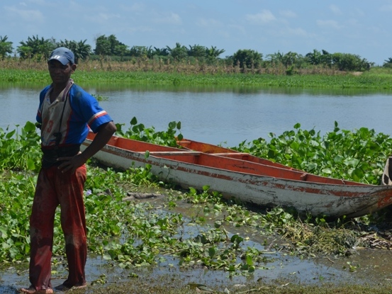 EN PONEDERA<br /> CRA LE APUESTA A LA CONSERVACIÓN DE LA HICOTEA Y TORTUGA DE RÍO - Corporación Autónoma Regional del Atlántico | C.R.A - * Luego de culminar la primera fase del proyecto, por iniciativa de la comunidad se presentó una nueva propuesta para darle continuidad al trabajo que se viene realizando con la Hicotea y Tortuga de Río en la Ciénaga del Uvero. Se espera comenzar esta segunda fase, a mediados del mes de Enero del próximo año.