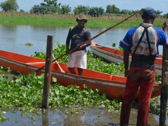 EN PONEDERA<br /> CRA LE APUESTA A LA CONSERVACIÓN DE LA HICOTEA Y TORTUGA DE RÍO - Corporación Autónoma Regional del Atlántico | C.R.A - * Luego de culminar la primera fase del proyecto, por iniciativa de la comunidad se presentó una nueva propuesta para darle continuidad al trabajo que se viene realizando con la Hicotea y Tortuga de Río en la Ciénaga del Uvero. Se espera comenzar esta segunda fase, a mediados del mes de Enero del próximo año.