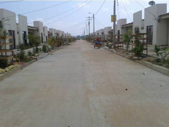 CRA SEMBRÓ 144 MIL 400 PLANTAS  EN TODO EL ATLÁNTICO