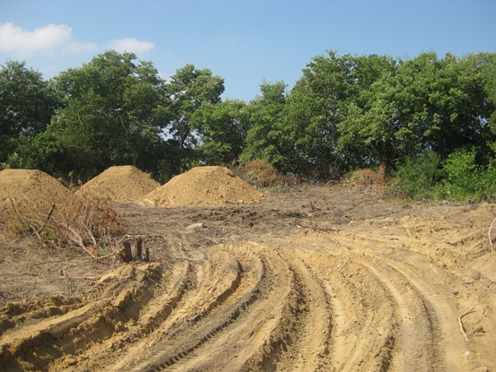 CRA ORDENÓ SUSPENSIÓN DE ACTIVIDADES DE RELLENO EN PREDIO ALEDAÑO A LA CIÉNAGA DE MALLORQUÍN