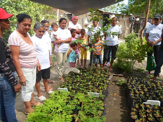 CON VIVEROS COMUNITARIOS, CRA FOMENTA PARTICIPACIÓN DE LA MUJER EN PROYECTOS AMBIENTALES