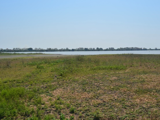 Embajador de Holanda recorrió el Complejo de Humedales del Atlántico, en el marco de un proyecto que busca identificar medidas de adaptación al cambio climático.