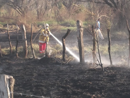 DIA DE LA TIERRA…UN AÑO MÁS DE DISCURSO O DE HECHOS?