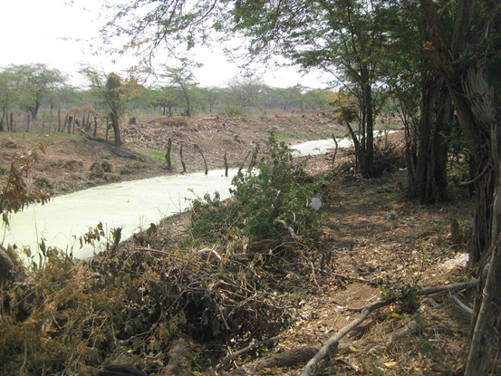 AVANZA PROYECTO PISCÍCOLA EN SANTA LUCÍA