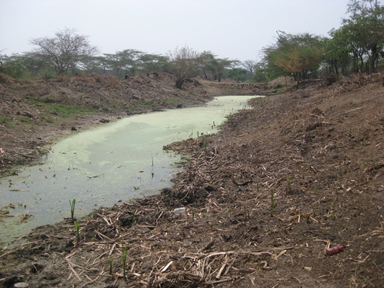 AVANZA PROYECTO PISCÍCOLA EN SANTA LUCÍA