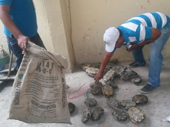 CRA LIBERA ESPECIES NATIVAS EN PELIGRO