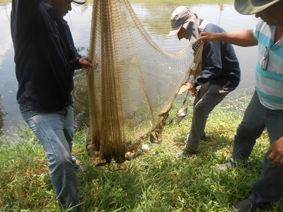 EN EL SUR DEL ATLANTICO, CRA CONTRIBUYE CON LA PRODUCTIVIDAD ACUÍCOLA