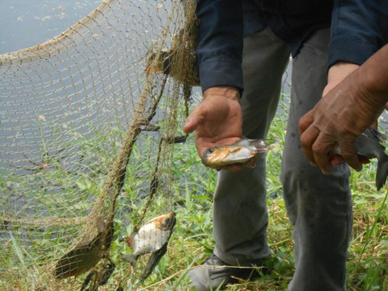 EN EL SUR DEL ATLANTICO, CRA CONTRIBUYE CON LA PRODUCTIVIDAD ACUÍCOLA