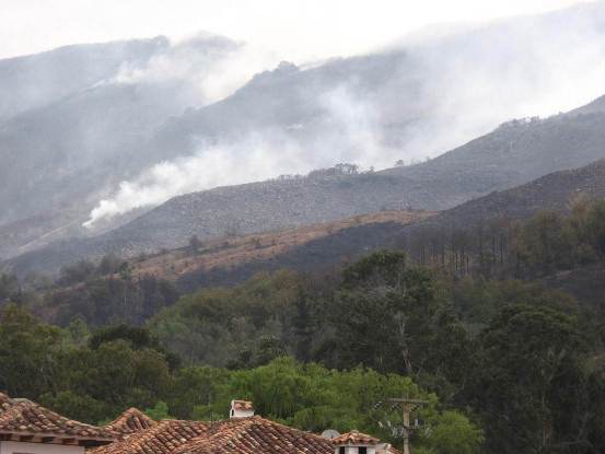 PREVENIR LOS INCENDIOS FORESTALES, LLAMADO URGENTE DE MINAMBIENTE