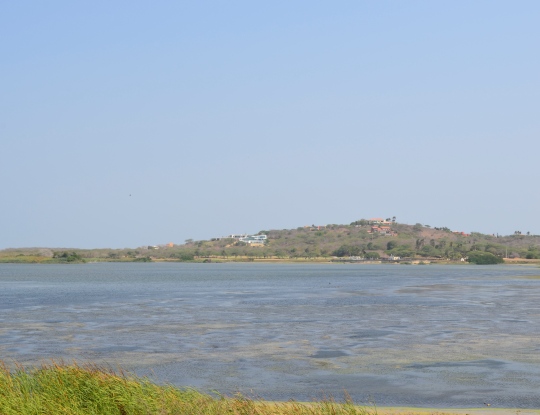 C.R.A NO HA REALIZADO CONTRATOS PARA DRAGAR CISNE EN AÑOS ANTERIORES.