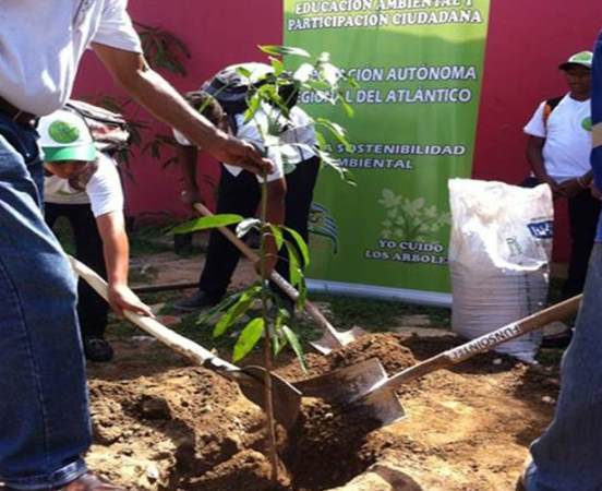 JÓVENES DE SEMILLEROS AMBIENTALES ESCOLARES, SE CAPACITAN EN ARBORIZACIÓN Y LIDERAN SIEMBRAS