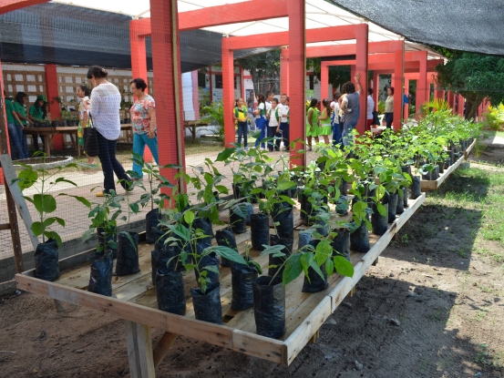 ESTUDIANTES DE GALAPA CREAN BANCO DE SEMILLAS PARA CONSERVAR ESPECIES NATIVAS