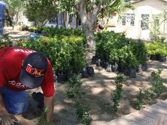 RECUPERACION PAISAJISTICA Y AMBIENTAL DEL PARQUE “LA MARIA” EN SOLEDAD ES UN HECHO